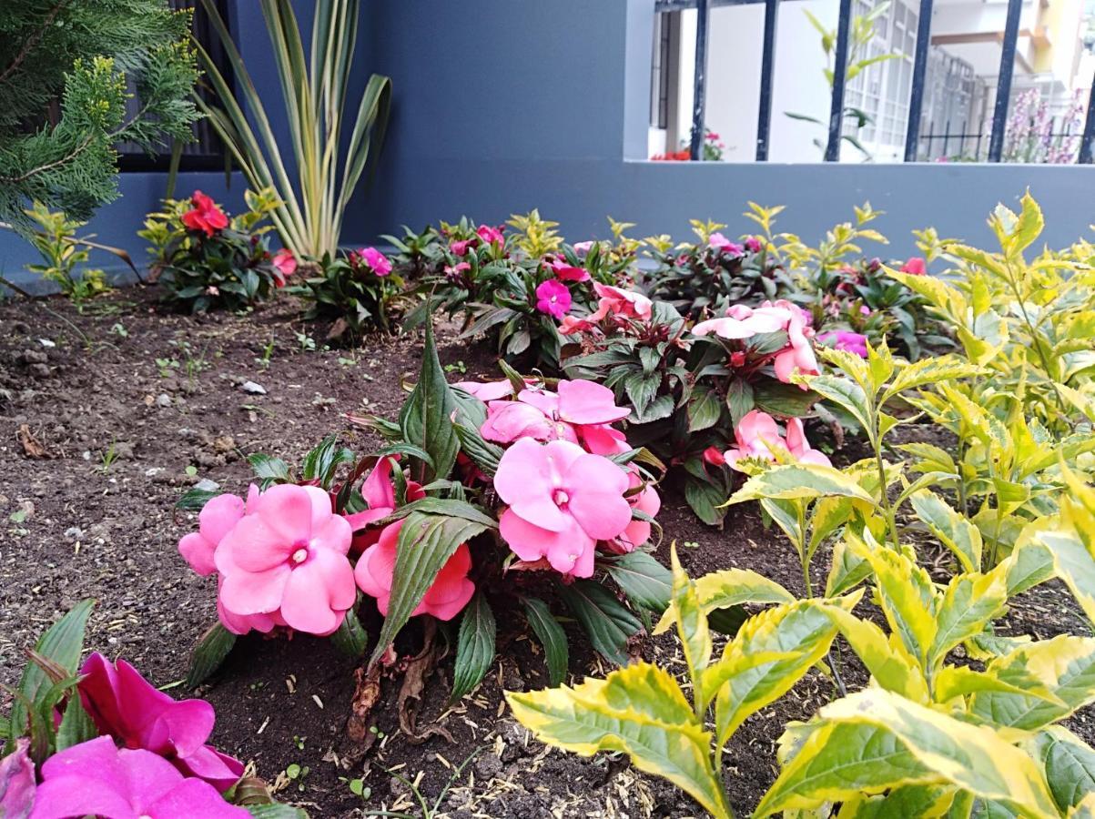 Hotel Jardín 38 Pasto Quarto foto
